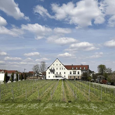 Weinzeit13 Lägenhet Neustadt an der Weinstraße Exteriör bild